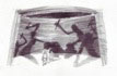 vignette dessin 9